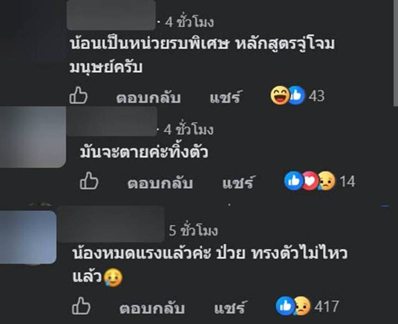 จิ้งจก