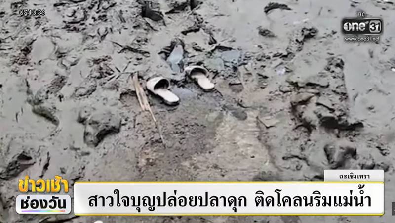 ทำบุญปล่อยปลา