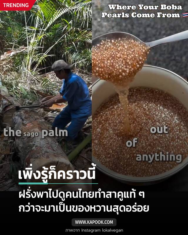 วิธีทำสาคูแท้