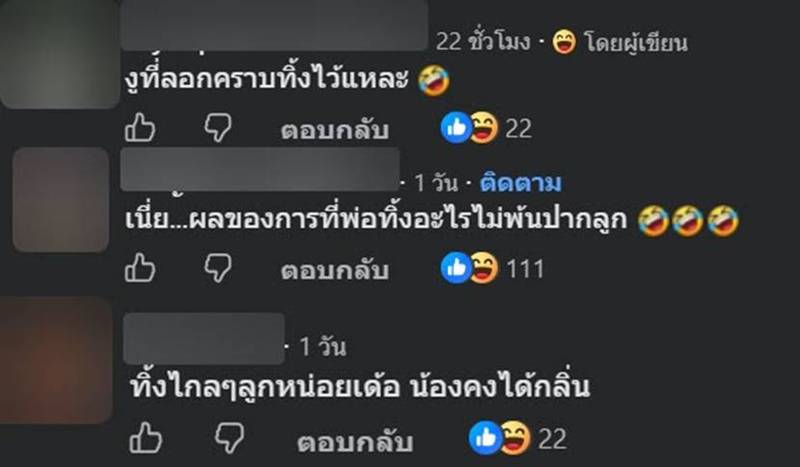 แรคคูน