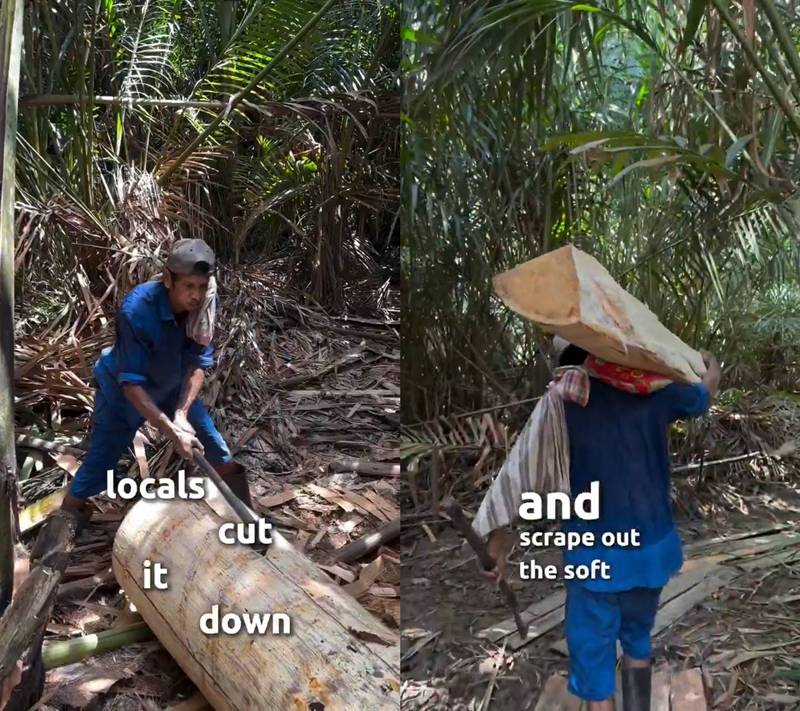 วิธีทำสาคูแท้