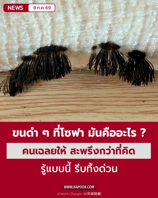 ราเส้นขน