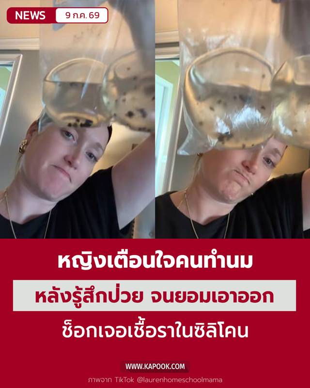 เชื้อราในซิลิโคน