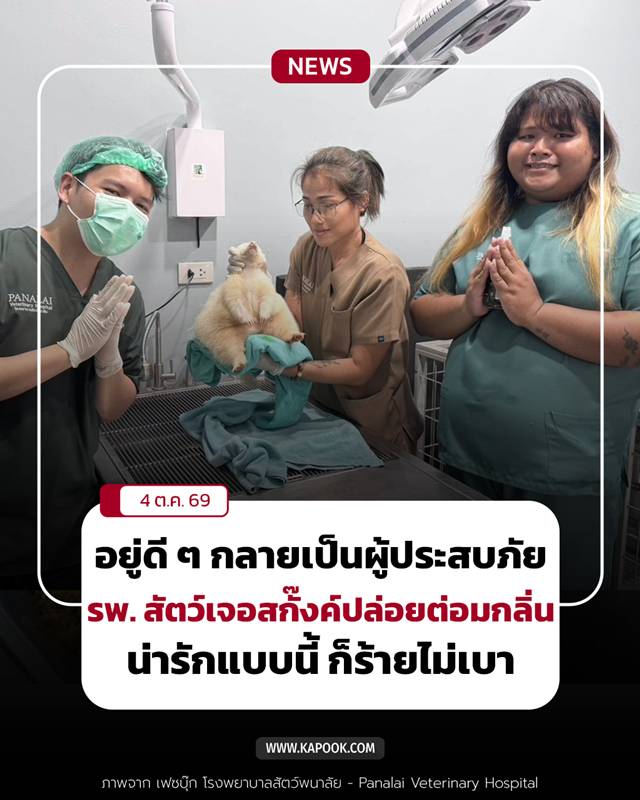 สกั๊งค์