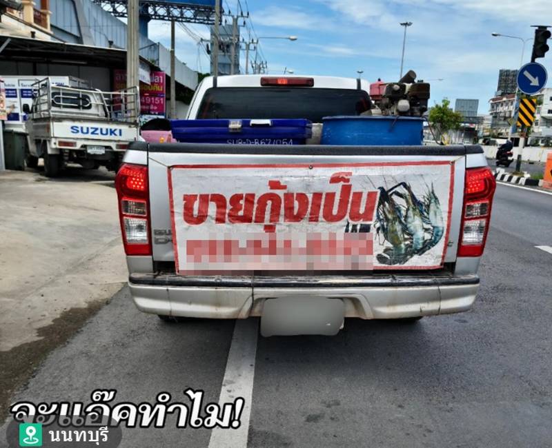ขายกุ้งเป็น 