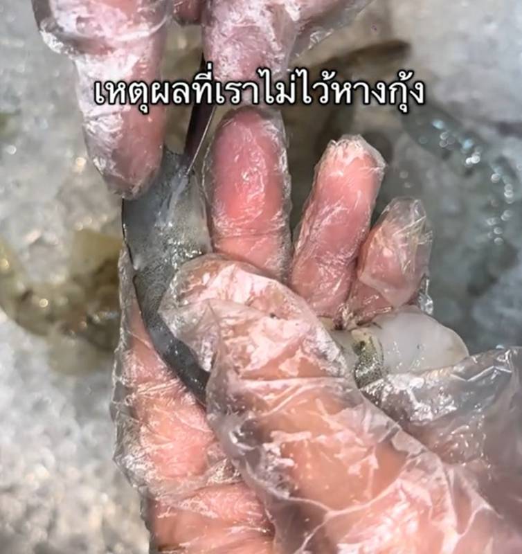 หางกุ้งมีอะไร