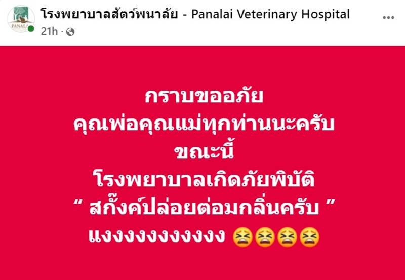 สกั๊งค์