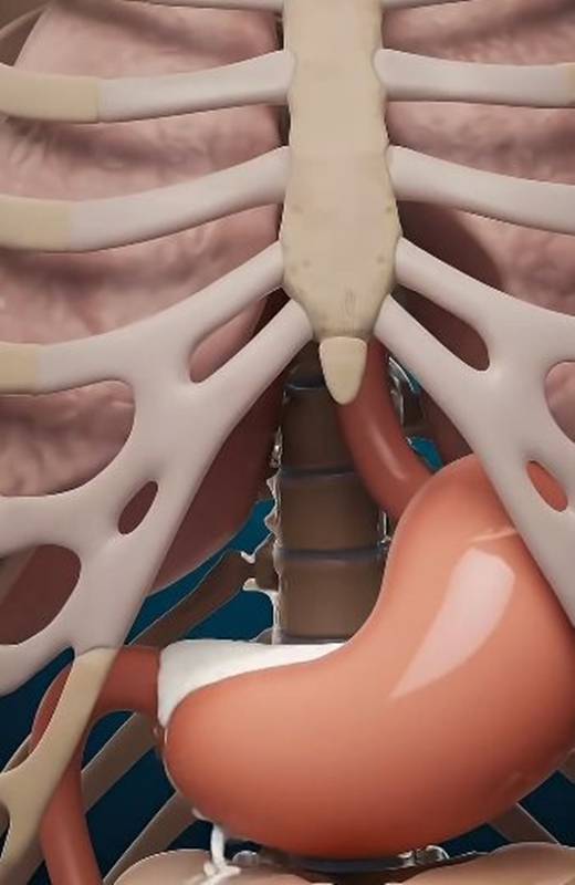 กลืนน้ำอสุจิเข้าท้องจะเกิดอะไรขึ้น