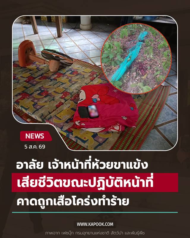 เสือโคร่งทำร้าย จนท.
