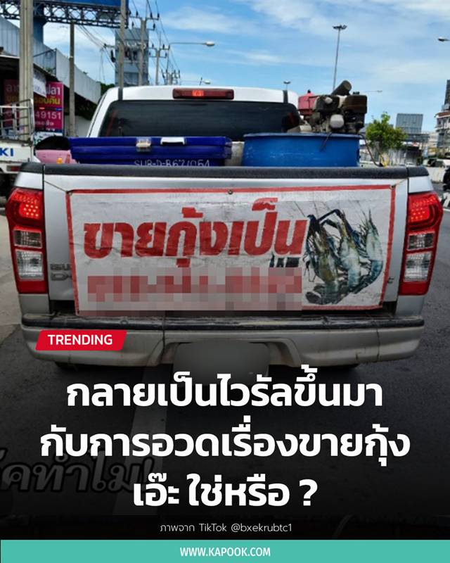 ขายกุ้งเป็น 