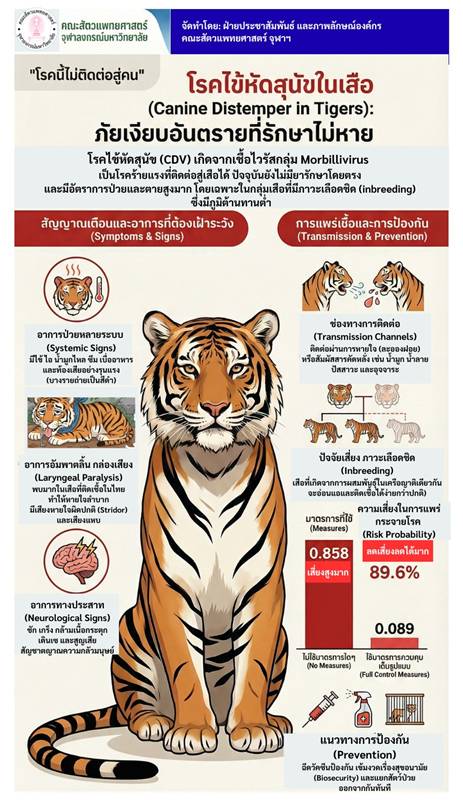 โรคไข้หัดสุนัขในเสือ