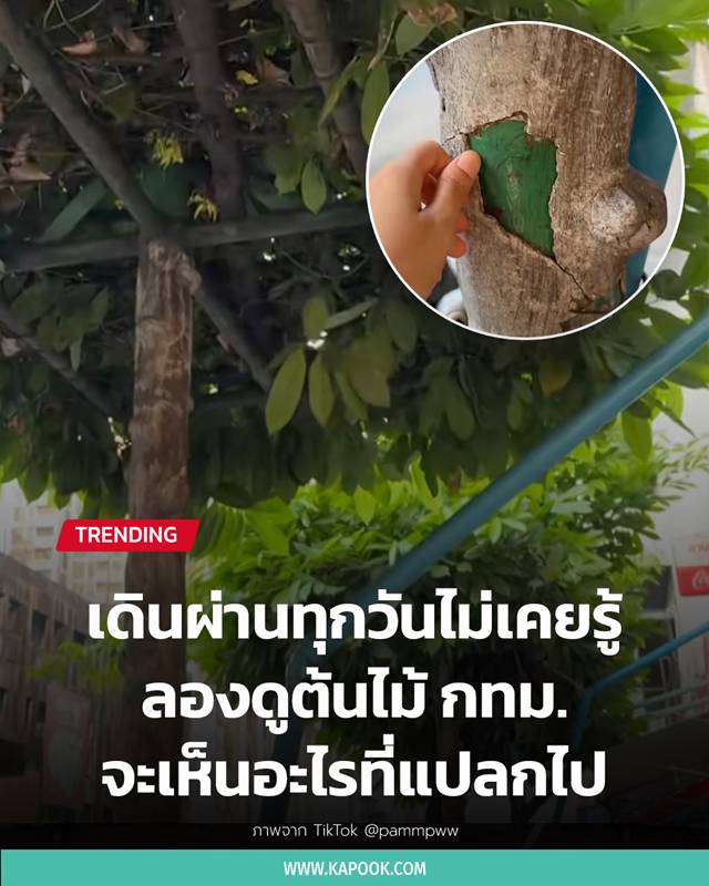 ต้นไม้ กทม.