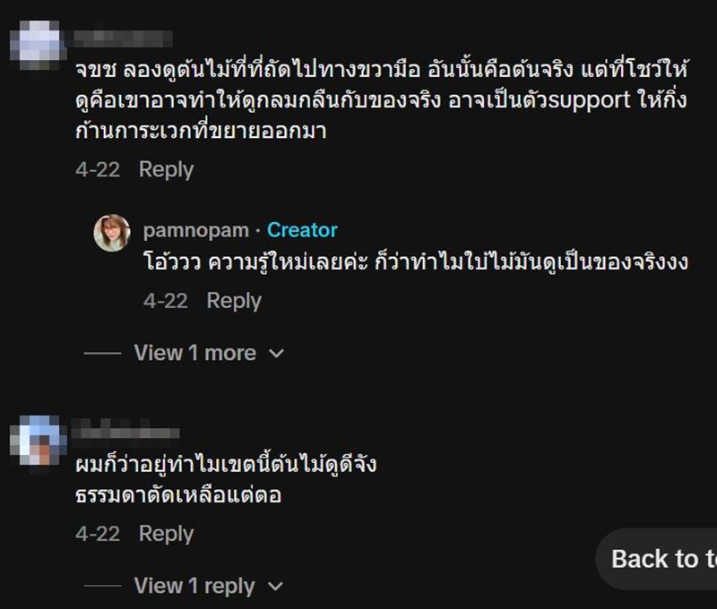 ต้นไม้ กทม.