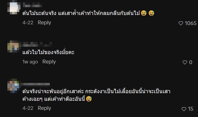 ต้นไม้ กทม.