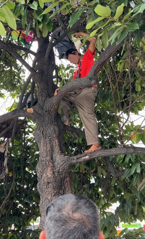 หนุ่มไม่มีเงินเช่าห้อง อาศัยบนต้นไม้