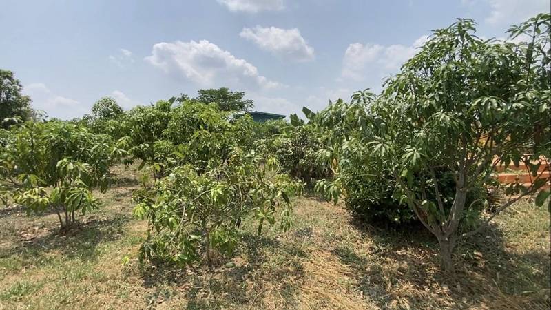 ภาษีที่ดิน