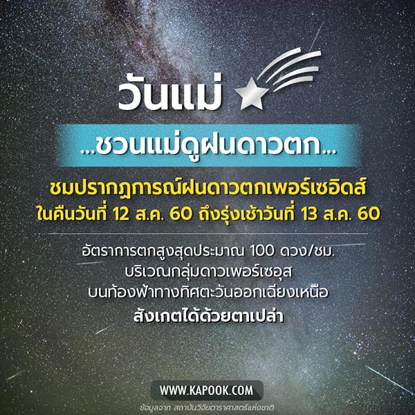 ฝนดาวตกวันแม่