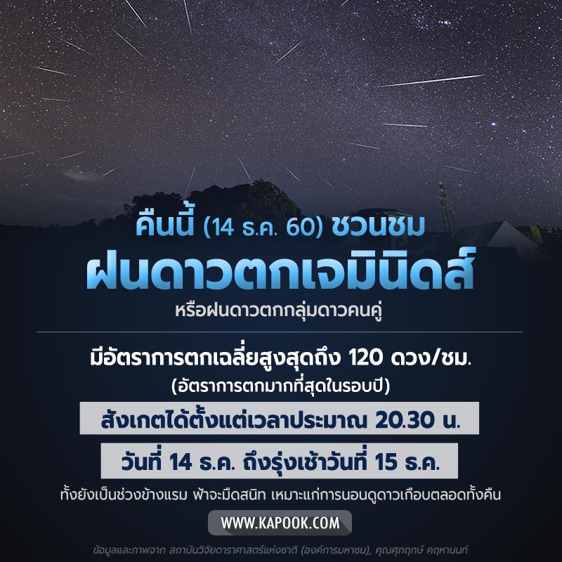 ฝนดาวตกเจมินิดส์