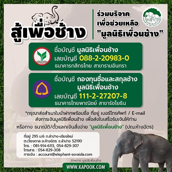 มูลนิธิเพื่อนช้าง