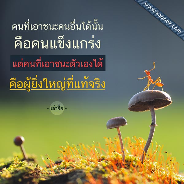 เล่าจื๊อ