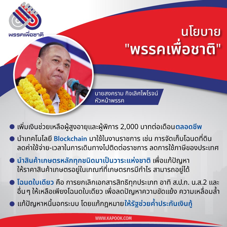 นโยบาย พรรคเพื่อชาติ