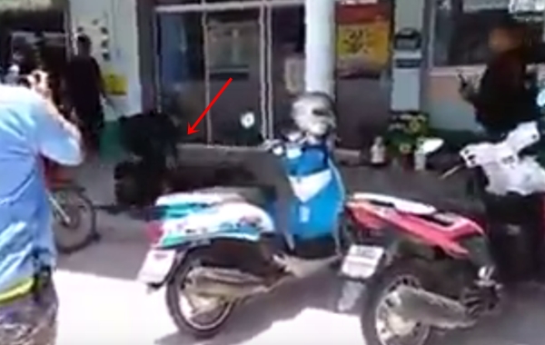 ตำรวจชาร์จตัวหนุ่มคลั่งถือดาบไล่ฟัน