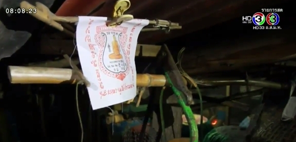 อยุธยาผวา ไก่ถูกกัดตายหลายร้อยตัว 