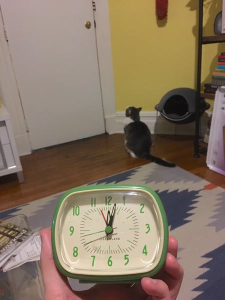 ผีอาฆาต