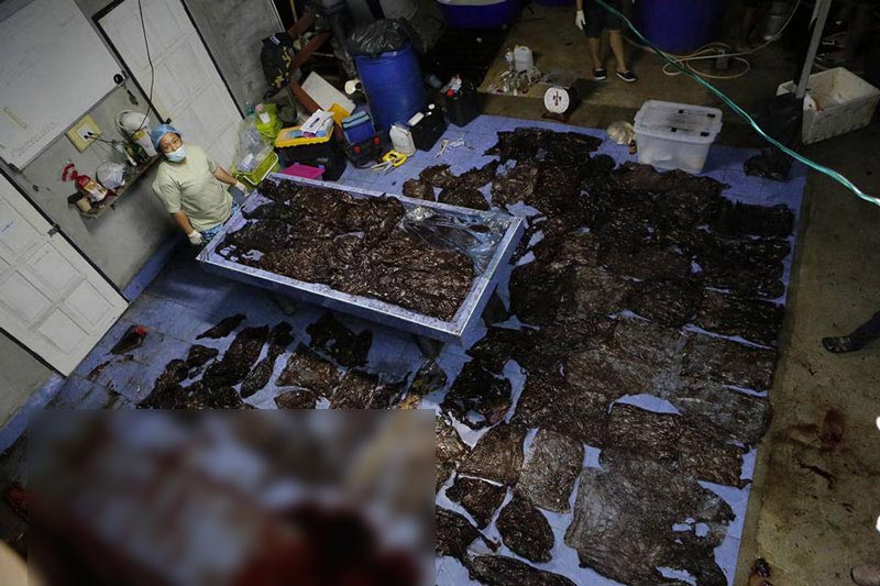 ไทยมีขยะทางทะเลอันดับ 6 ของโลก 