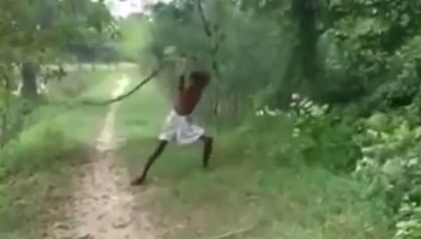 พ่อใจเด็ดฆ่างูจงอางด้วยมือเปล่า