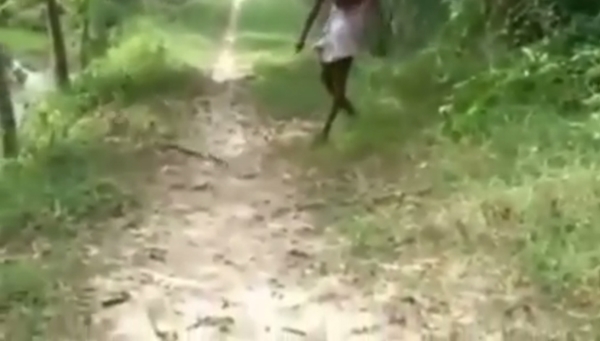 พ่อใจเด็ดฆ่างูจงอางด้วยมือเปล่า