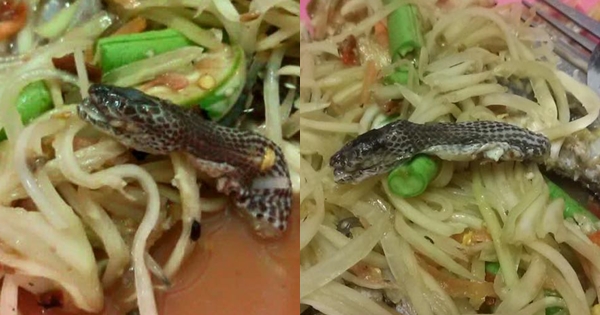 ส้มตำ