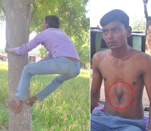 อาปิต โกฮิล