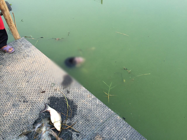 รปภ. พลัดตกน้ำ ร่างติดตาข่ายดักปลา-ดิ้นไม่หลุด จมน้ำเสียชีวิต