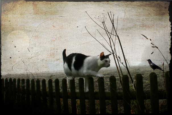 15 เรื่องจริงเกี่ยวกับความฝัน ที่จะทำให้คุณเข้าใจความฝันมากยิ่งขึ้น