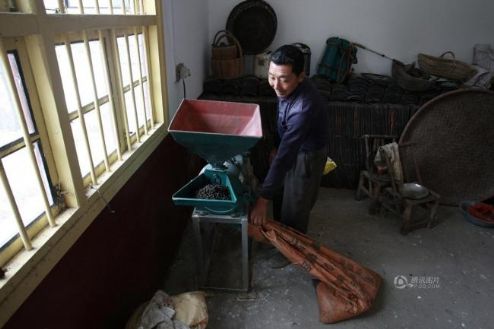 ชาวบ้านจีนบดมูลวัว มูลแพะ ผสมน้ำดื่มเชื่อสู้มะเร็ง