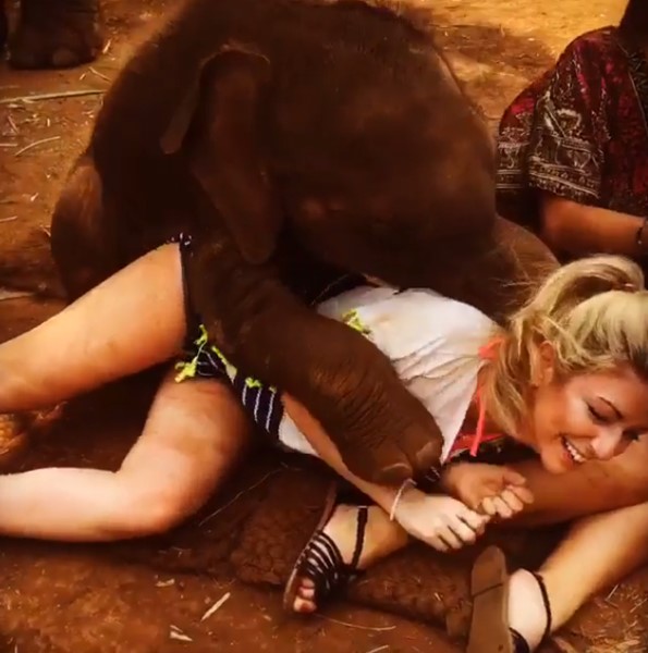 เจ้าน้ำพุ