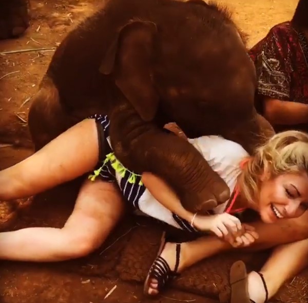 เจ้าน้ำพุ