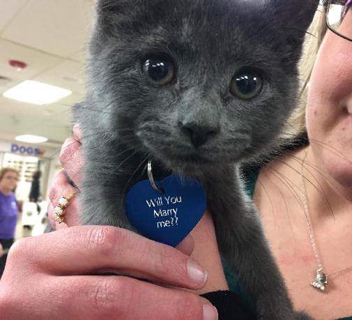 เซอร์ไพรส์ขอแฟนสาวแต่งงาน