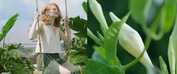 สีเขียวกรีนเนอรี