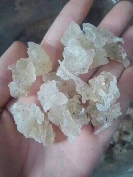 รังนอกปลอม