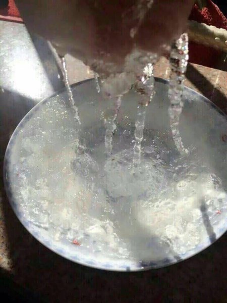 รังนกปลอม