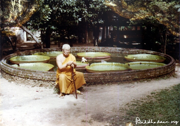 พุทธทาสภิกขุ