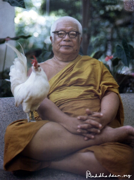 พุทธทาสภิกขุ