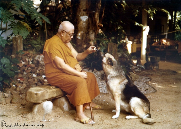 พุทธทาสภิกขุ