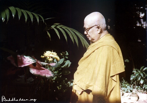 พุทธทาสภิกขุ