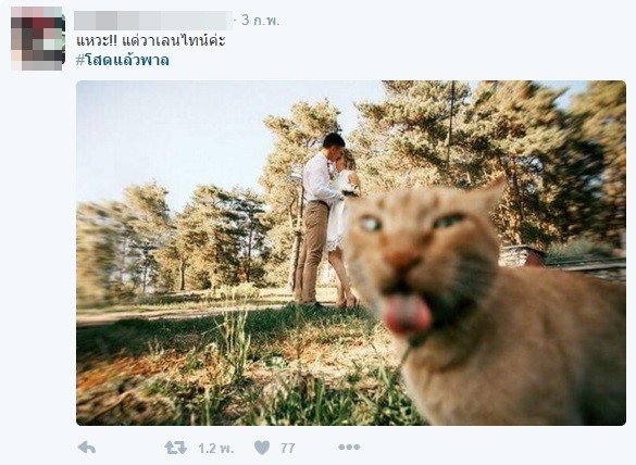 #โสดแล้วพาล