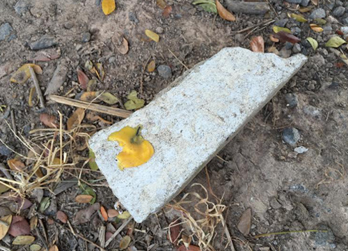 ลูกฉุนแม่ ขอเงิน 8 แสนไม่ให้ ไล่ทุบรถกระจกรถชาวบ้านทั่ว