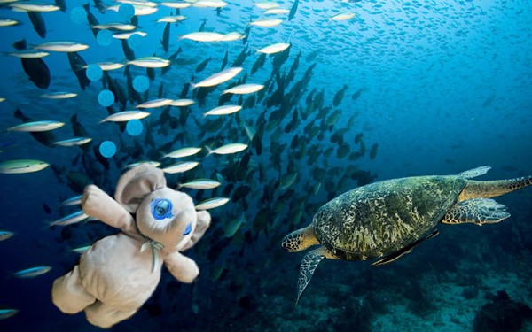 ตุ๊กตาช้างน้อย