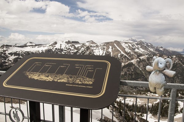 ตุ๊กตาช้างน้อย